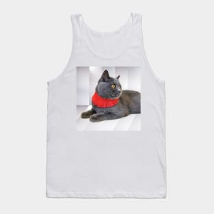 Shorthair Cat Staring At Something Interesting - British Blue Cat Tank Top